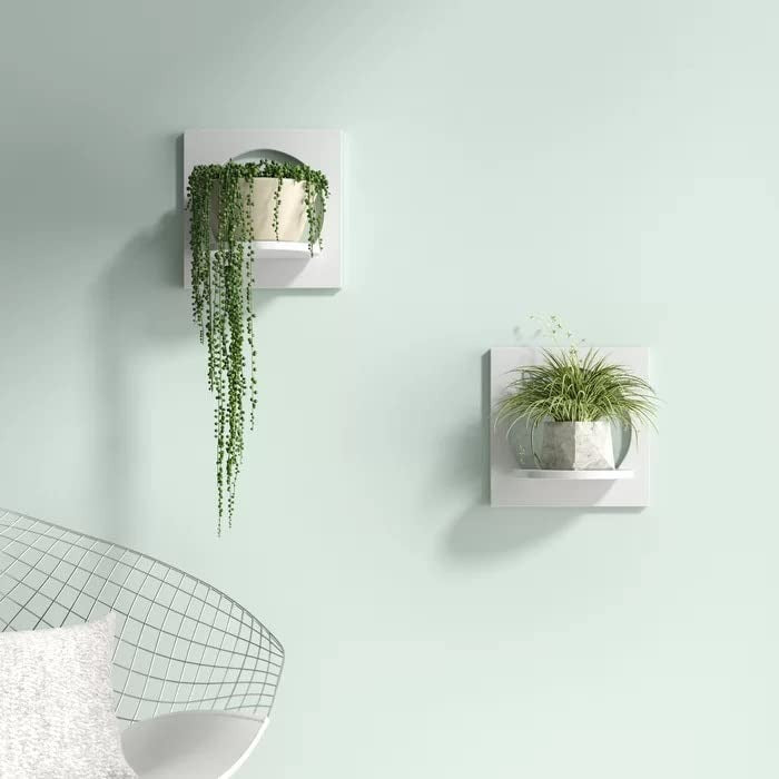 Modern Wall-Mounted Floating Shelves/ Planter with Circular Cut-Out Design – Set of 2